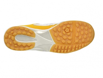 Gold/White