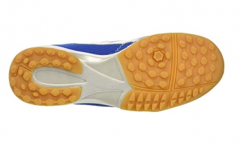 Royal/White